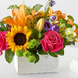 Mixed bouquet in a white square vase with roses, lilies, and a sunflower