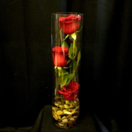 Three red roses in a tall glass cylinder vase with pebbles