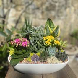 Succulent arrangement with pink and yellow blooms in a white bowl planter