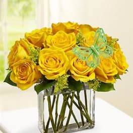 Modern Roses One Dozen Yellow