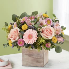 Pink roses and mixed daisies in a wooden box
