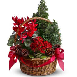 Tannenbaum Basket