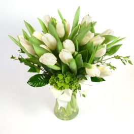 White tulip bouquet in a glass vase with a white ribbon