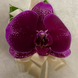 Single purple orchid bloom with a cream ribbon bow