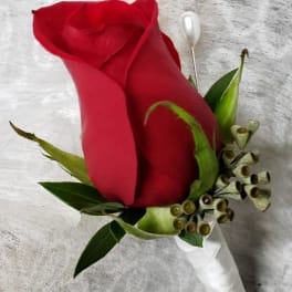 Single red rose boutonniere with green accents and white ribbon wrap