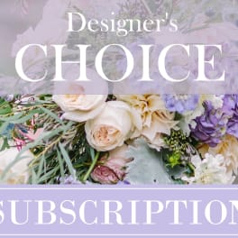 Designer's Choice Monthly Subscription - 3 Months