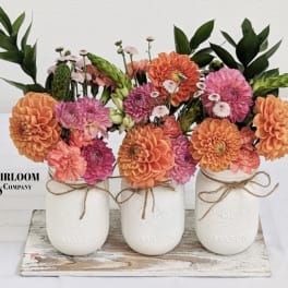 Three mason jars filled with orange and pink flowers