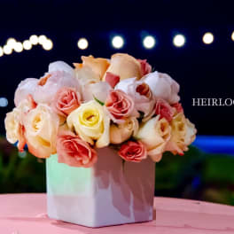 Pink and cream roses arranged in a white square vase