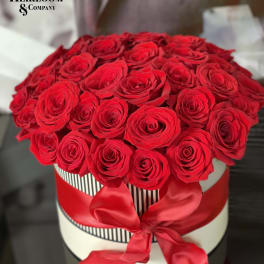 Red roses arranged in a round hat box with a red ribbon