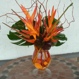 Orange tropical flowers arranged in a glass vase