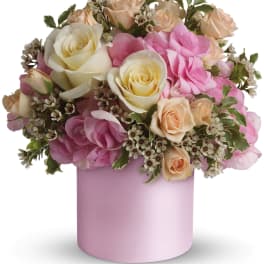 Teleflora's Blushing Beauty