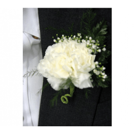 Carnation Boutonniere