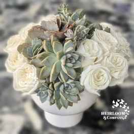 White roses and succulents arranged in a white vase