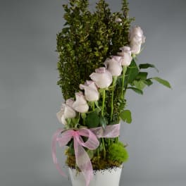 White roses arranged in a tall white pot with a pink ribbon