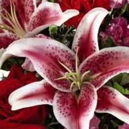 Close-up bouquet of pink-and-white lilies and red roses