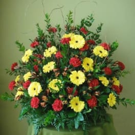 Large arrangement of yellow daisies and red carnations