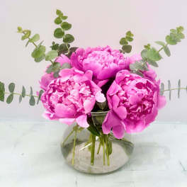 Pink peonies in a clear glass vase with eucalyptus stems