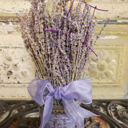 Bundle of dried lavender tied with a purple ribbon in a decorative pot