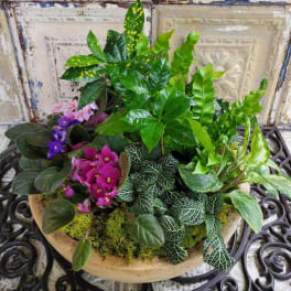 Mixed potted plants with pink and purple flowers in a shallow bowl