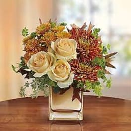 Teleflora's Autumn Romance Bouquet
