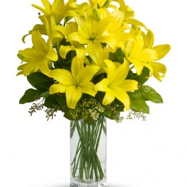 Teleflora's Lily Sunshine