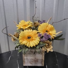 Yellow gerbera daisies in a rustic wooden box with purple accents