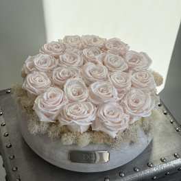 Round arrangement of pale pink roses in a silver box