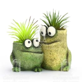 Two whimsical potted plants with googly eyes sit side by side.