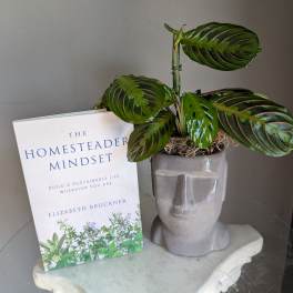 The Homesteader Mindset- Book Club!