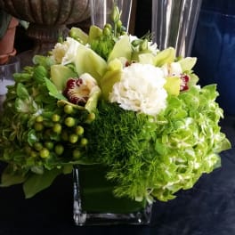 Green and white floral arrangement in a square glass vase