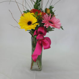 Gerbera daisies in a clear glass vase with a pink ribbon