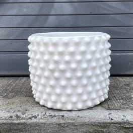 White textured ceramic planter pot on a concrete step