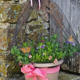Wings & Blooms Patio Pot