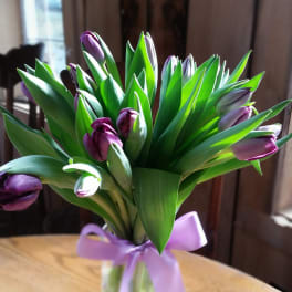 Purple tulips in a glass vase tied with a lavender ribbon