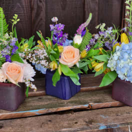 Three mixed floral arrangements in square containers on a wooden surface