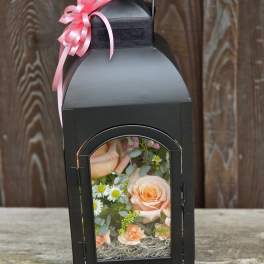 Black lantern with peach roses and white daisies inside, topped with a pink ribbon