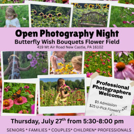 Photography Night in the Flower Field
