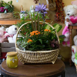 Basket planter with orange flowers and green foliage beside a yellow candle jar