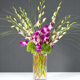Purple orchids in a tall glass vase with green pom-pom accents