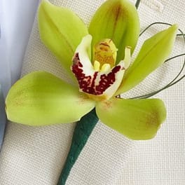 Mini Cymbidium Orchid Ringer Bearer