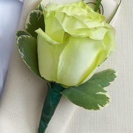 Single pale green rose boutonniere with green leaves