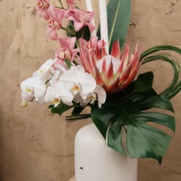 Pink and white orchids with a protea in a white vase