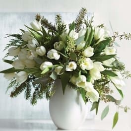 White tulips arranged in a white vase with greenery