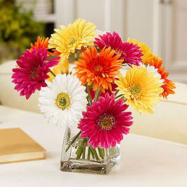 Bouquet of colorful gerbera daisies in a clear glass vase