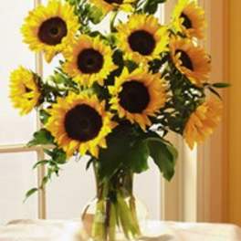 Bouquet of sunflowers in a clear glass vase