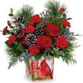 Red roses and pinecones in a holiday gift container