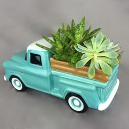 Succulent arrangement in a turquoise ceramic truck planter