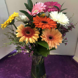 Mixed gerbera daisy bouquet in a glass vase