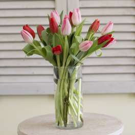 Pink and red tulips in a clear glass vase