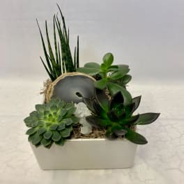 Succulent arrangement in a white rectangular planter with a decorative stone slice